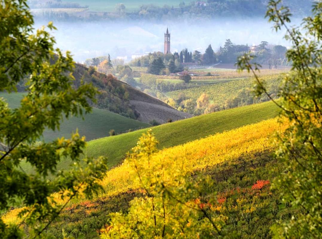 Food Museums in Emilia-Romagna - panorama photo by Anonimo