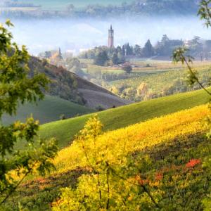 Food Museums in Emilia-Romagna - panorama photo by Anonimo