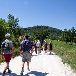 Cammino di San Francesco - San Leo RN